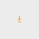 Zodiac Charms - Gold