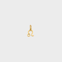 Zodiac Charms - Gold