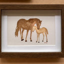 Mare & Colt // Mini Framed Artwork