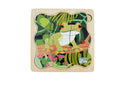 Life Cycle Layer Puzzle