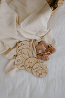 IVF Milestone Discs / Pack