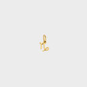 Zodiac Charms - Gold