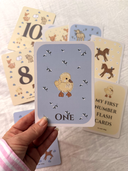 My First Number flash card set