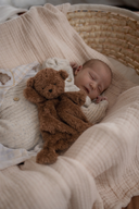 Little Ted Comforter Toy