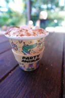 Party Animal in Orange (120ml)