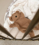 Little Teddy Comforter Toy