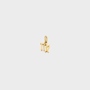 Zodiac Charms - Gold
