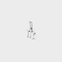 Zodiac Charms - Stainless Steel