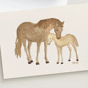 Mare & Colt // Card