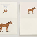 Horse // Card