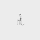 Zodiac Charms - Stainless Steel