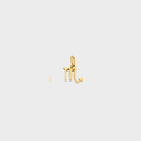 Zodiac Charms - Gold