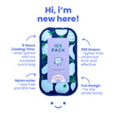 Ice Pack