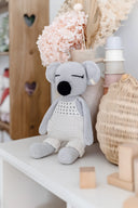 Kenny the Koala
