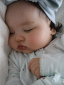 Bamboo/Organic Cotton Growsuit - Bluebells