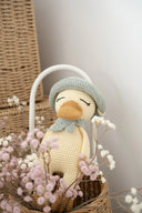 Darcy the Duck