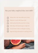 The Baby Playbook (Hardcover)