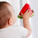 2 Pack Mini Market Brunch Stroller Toys - Watermelon & Blueberry