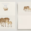 Mare & Colt // Card